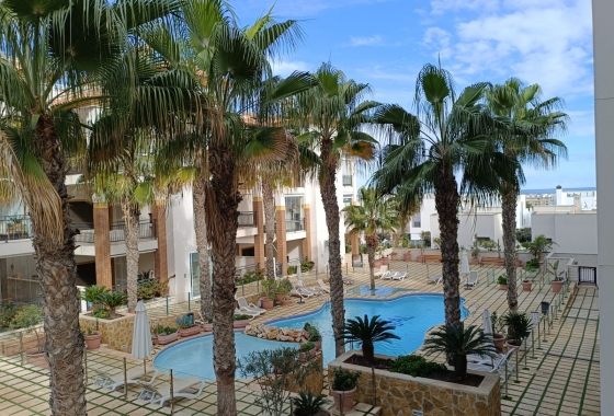 Apartament - Rynek Wtórny - Guardamar del Segura - Guardamar del Segura