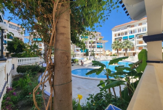 Apartament - Rynek Wtórny - La Mata - La Mata