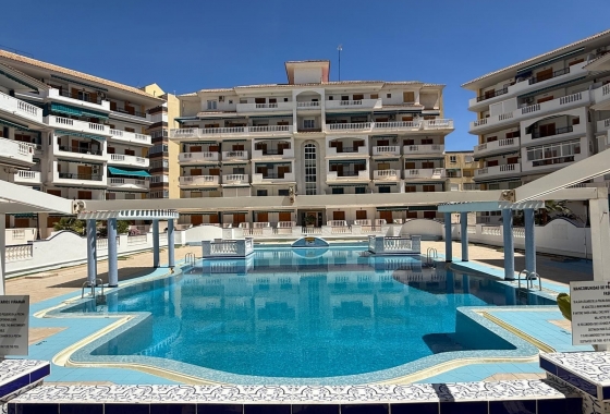 Apartament - Rynek Wtórny - La Mata - La Mata