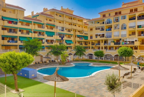 Apartament - Rynek Wtórny - La Mata - La Mata