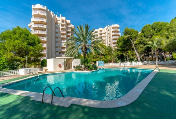 Apartament - Rynek Wtórny - Orihuela Costa - Campoamor