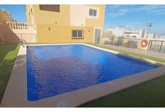 Apartament - Rynek Wtórny - Orihuela Costa - DOM-3202