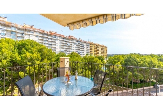 Apartament - Rynek Wtórny - Orihuela Costa - Orihuela Costa