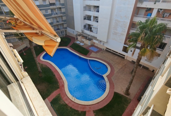 Apartament - Rynek Wtórny - Torrevieja - Centro