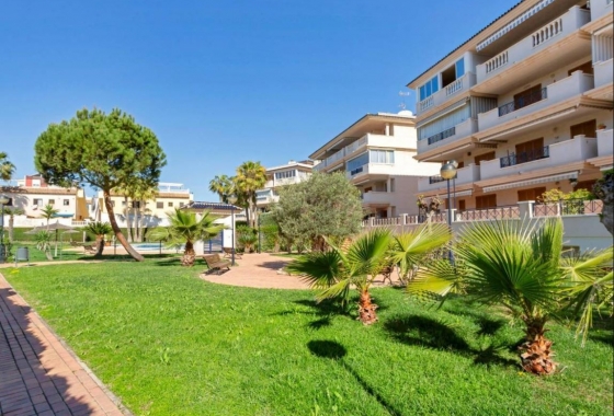 Apartament - Rynek Wtórny - Torrevieja - DOM-1483