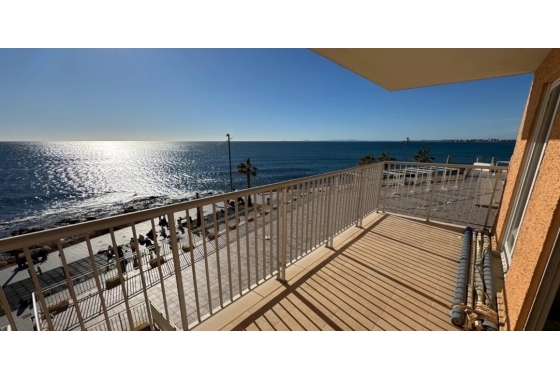 Apartament - Rynek Wtórny - Torrevieja - DOM-8124