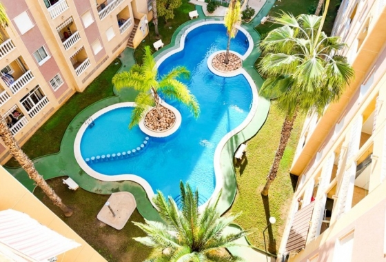 Apartament - Rynek Wtórny - Torrevieja - DOM-8627