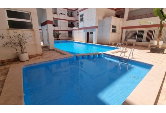Apartament - Rynek Wtórny - Torrevieja - Parque de Las Naciones