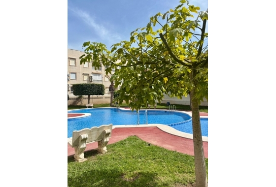 Apartament - Rynek Wtórny - Torrevieja - Playa Acequion
