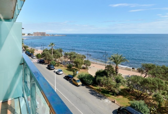 Apartament - Rynek Wtórny - Torrevieja - Playa de los Locos