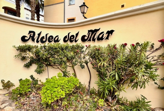Apartament - Rynek Wtórny - Torrevieja - Playa de los Locos