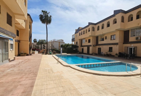 Apartament - Rynek Wtórny - Torrevieja - Punta prima