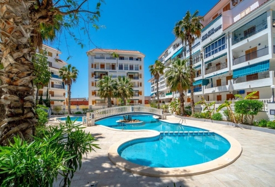 Apartament - Rynek Wtórny - Torrevieja - Torre la mata