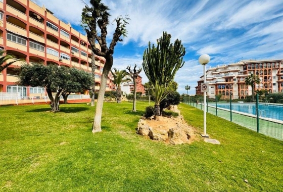 Apartament - Rynek Wtórny - Torrevieja - Torrelamata - La Mata