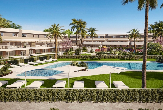 Apartamento / piso - Obra nueva - Elche - Center