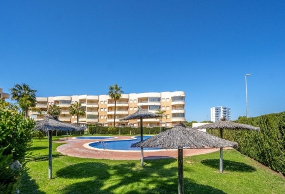 Apartamento / piso - Reventa - Campoamor - Campoamor