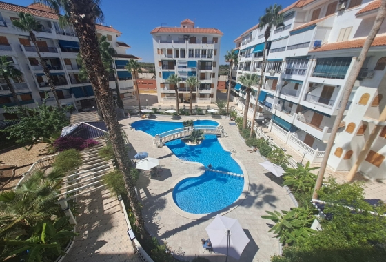 Apartamento / piso - Reventa - La Mata - La Mata