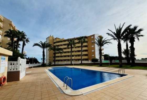 Apartamento / piso - Reventa - La Mata - La Mata