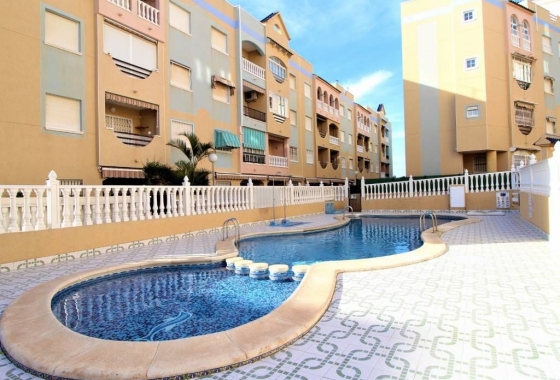 Apartamento / piso - Reventa - La Mata - La Mata