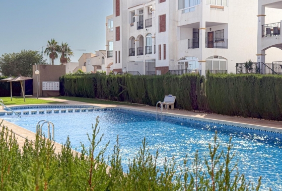 Apartamento / piso - Reventa - Punta Prima - DOM-4544