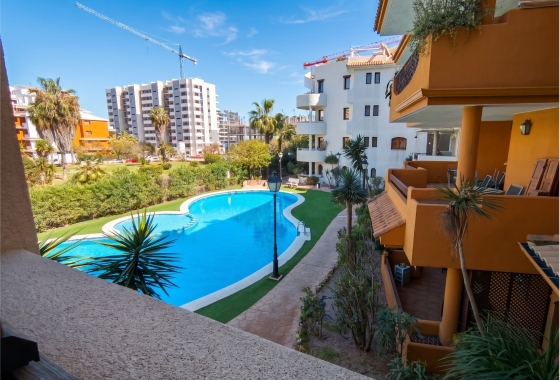 Apartamento / piso - Reventa - Punta Prima - Punta Prima