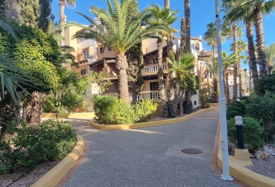 Apartamento / piso - Reventa - Torrevieja - Playa de los Locos