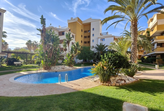 Apartamento / piso - Reventa - Torrevieja - Punta prima