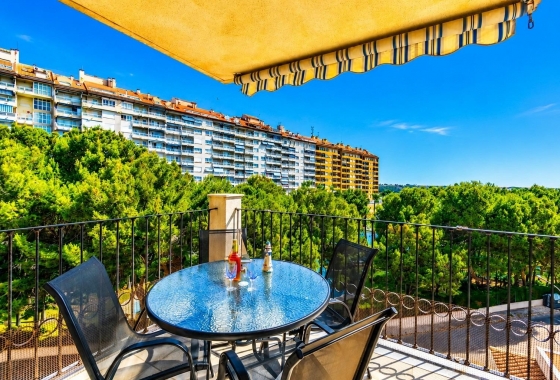 Apartment / flat - Resale - Dehesa De Campoamor - Dehesa De Campoamor