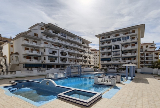 Apartment / flat - Resale - La Mata - La Mata