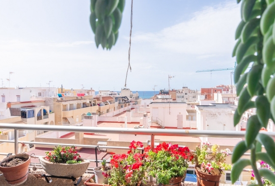 Apartment / flat - Resale - Torrevieja - PLAYA LOS LOCOS