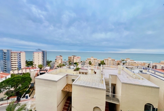 Apartment / flat - Resale - Torrevieja - Torreblanca