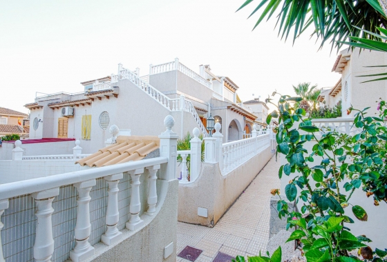 Bungalow - Reventa - Torrevieja - Los Balcones - Los Altos del Edén