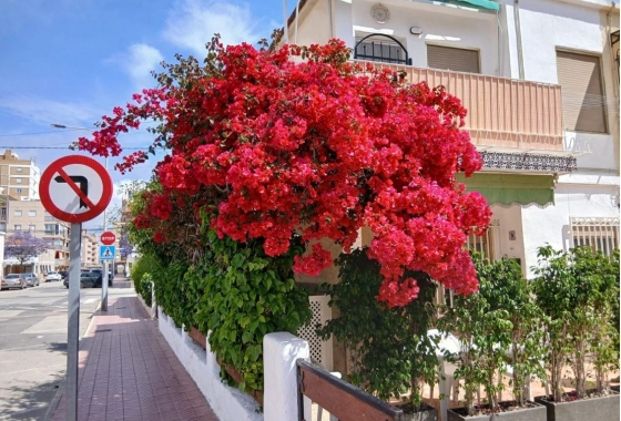 Bungalow - Rynek Wtórny - Santa Pola - Playa Lisa