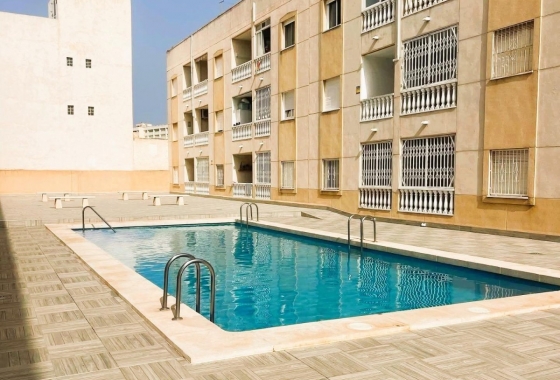 Estudio - Reventa - Torrevieja - Torrevieja - Playa del Cura