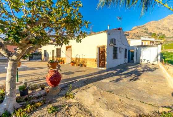 Finca - Reventa - Orihuela Costa - DOM - 9022