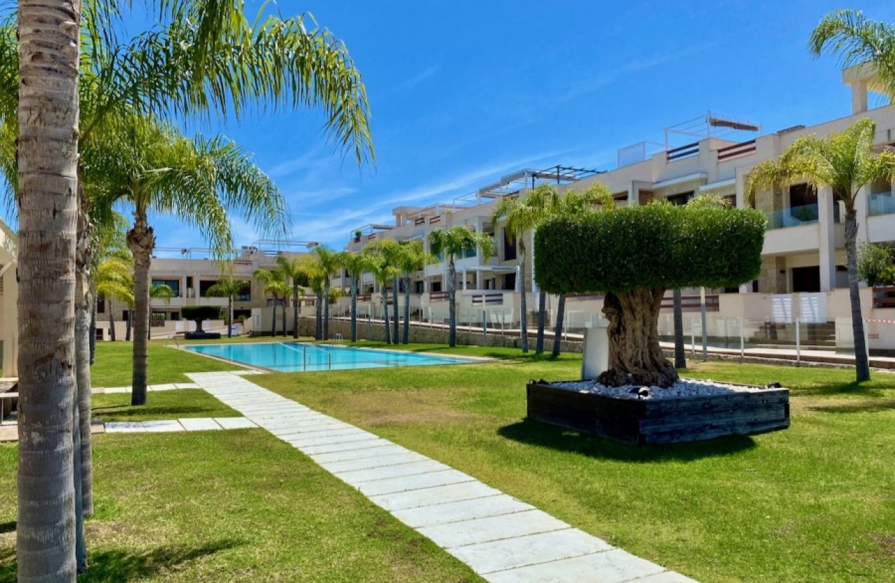 Obra nueva - Bungalow - Torrevieja - Los Balcones