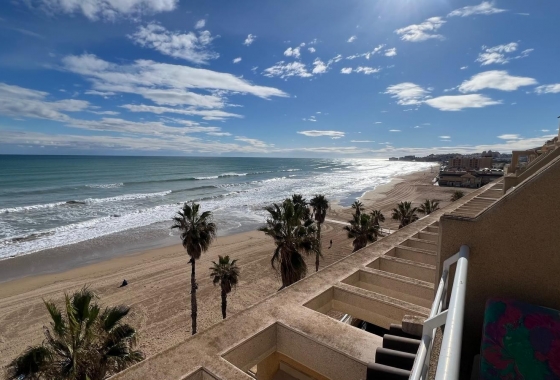 Penthouse - Resale - La Mata - La Mata