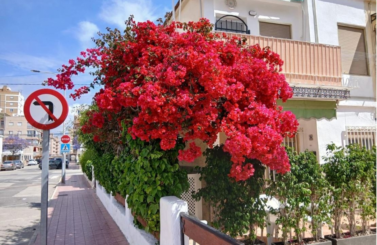 Resale - Bungalow - Santa Pola - Playa Lisa