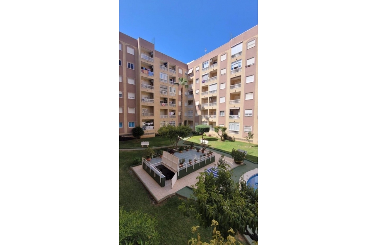 Resale - Studio - Torrevieja -  Urbanization