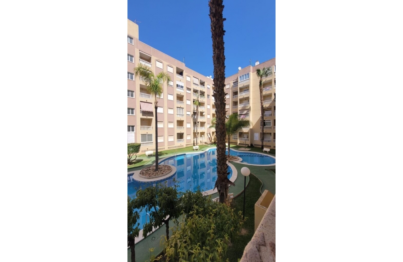 Resale - Studio - Torrevieja -  Urbanization