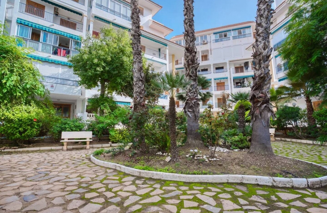 Reventa - Apartamento / piso - La Mata