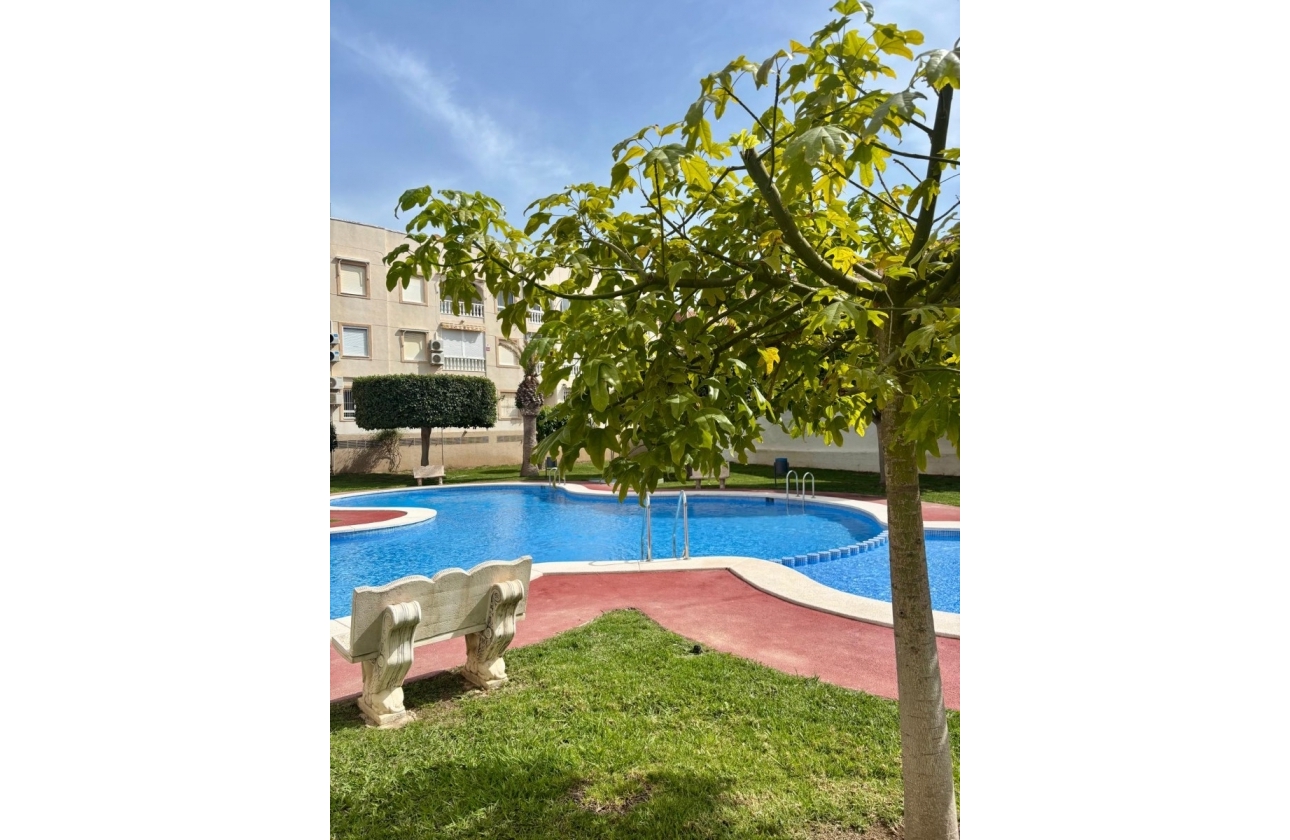 Reventa - Apartamento / piso - Torrevieja - Playa Acequion