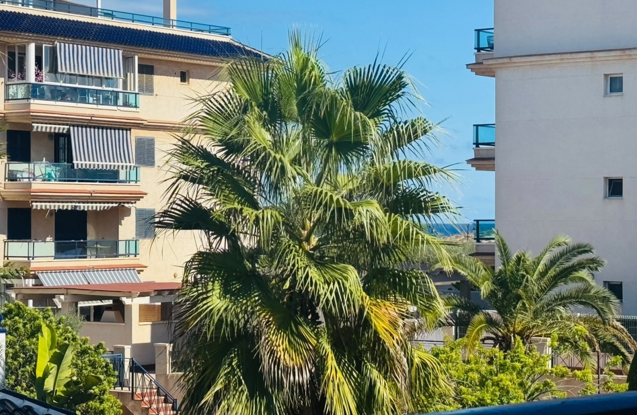 Reventa - Bungalow - Torrevieja - LA MATA