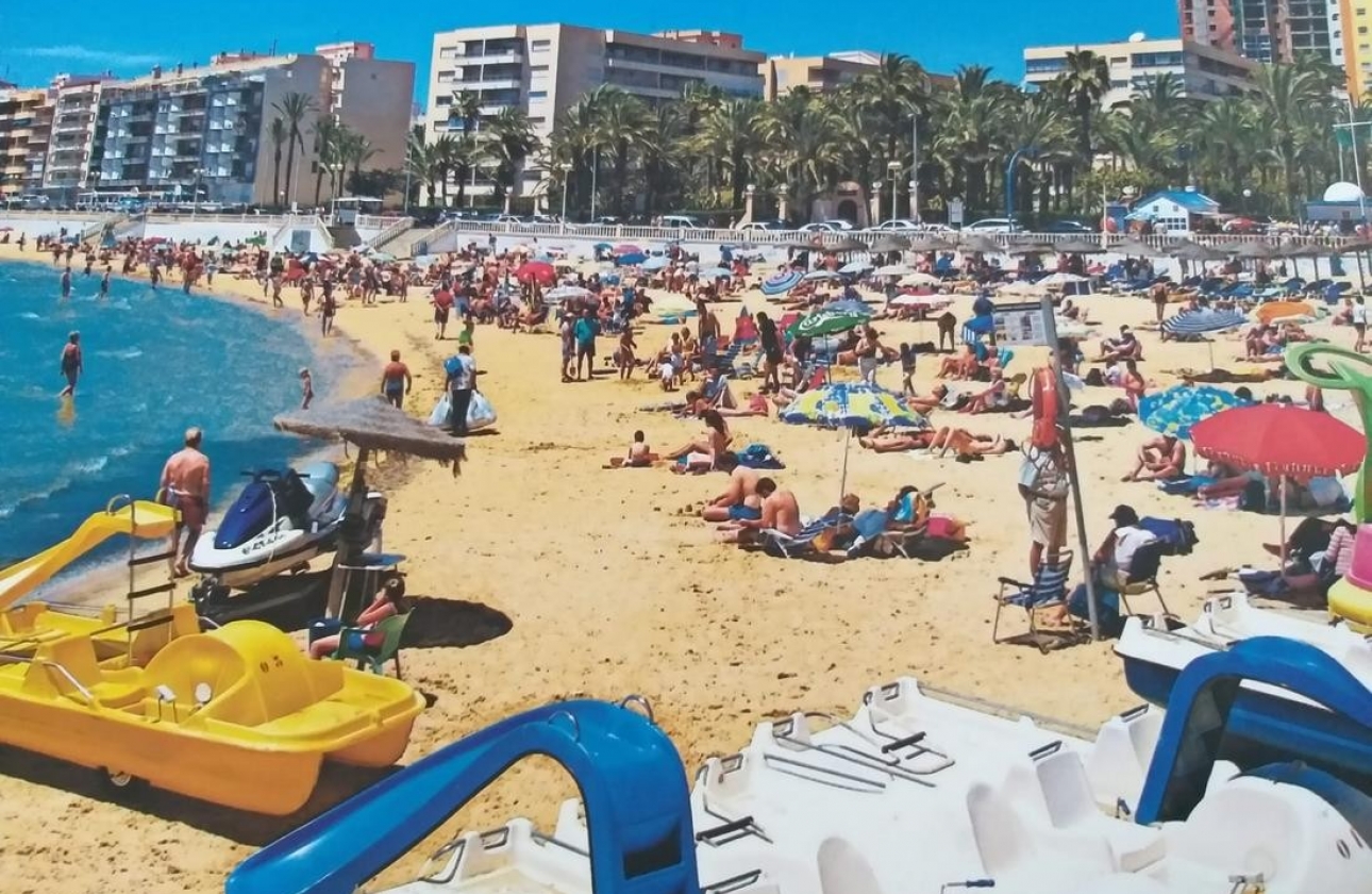 Reventa - Estudio - Torrevieja - Torrevieja - Playa de los Locos