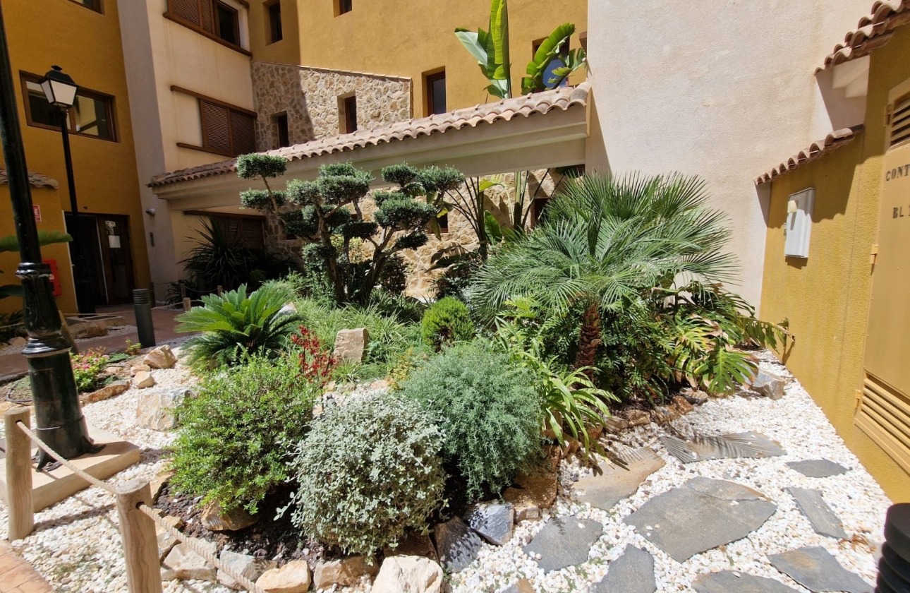 Rynek Wtórny - Apartament - Orihuela Costa - Punta Prima