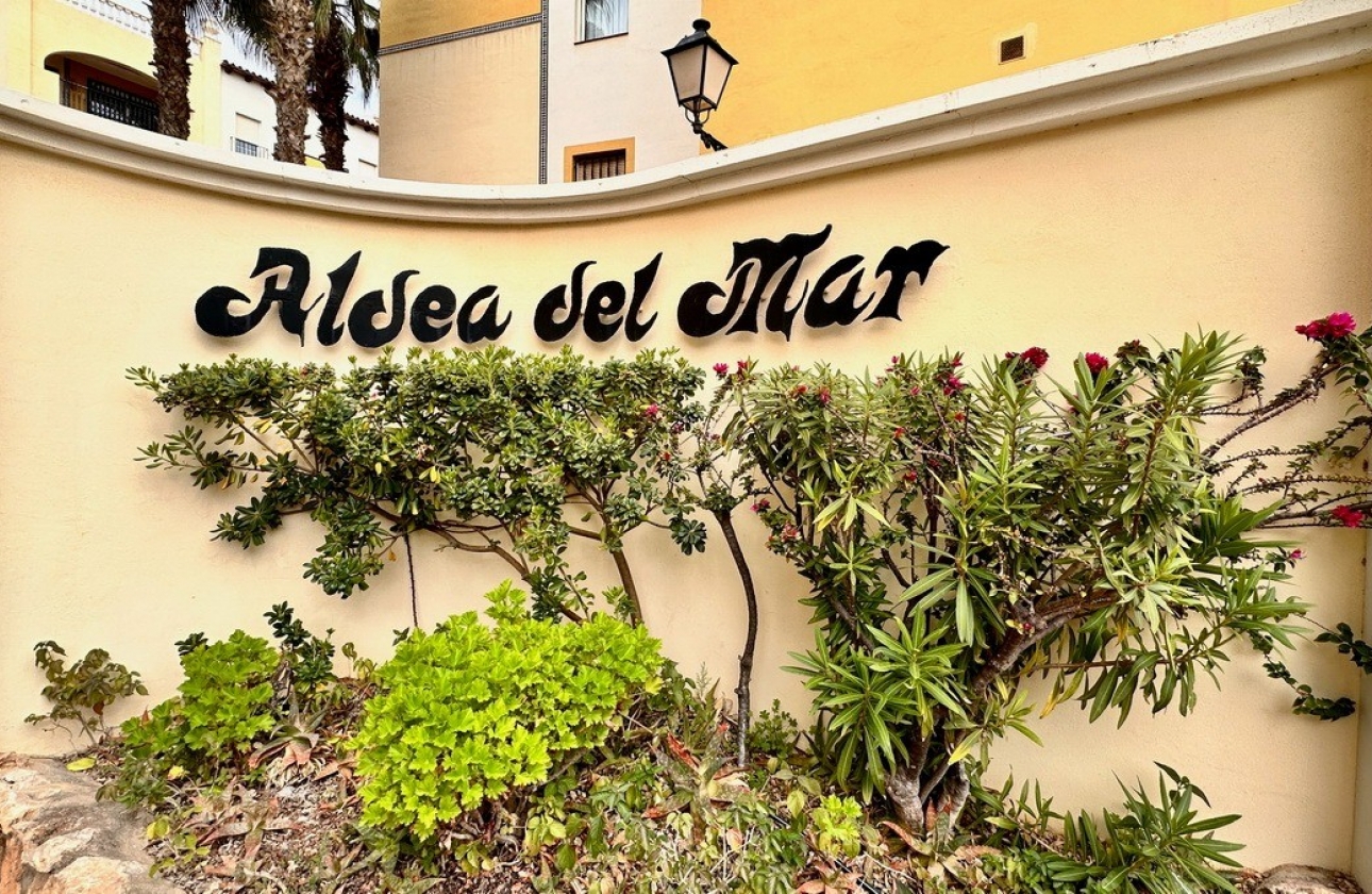 Rynek Wtórny - Apartament - Torrevieja - Playa de los Locos