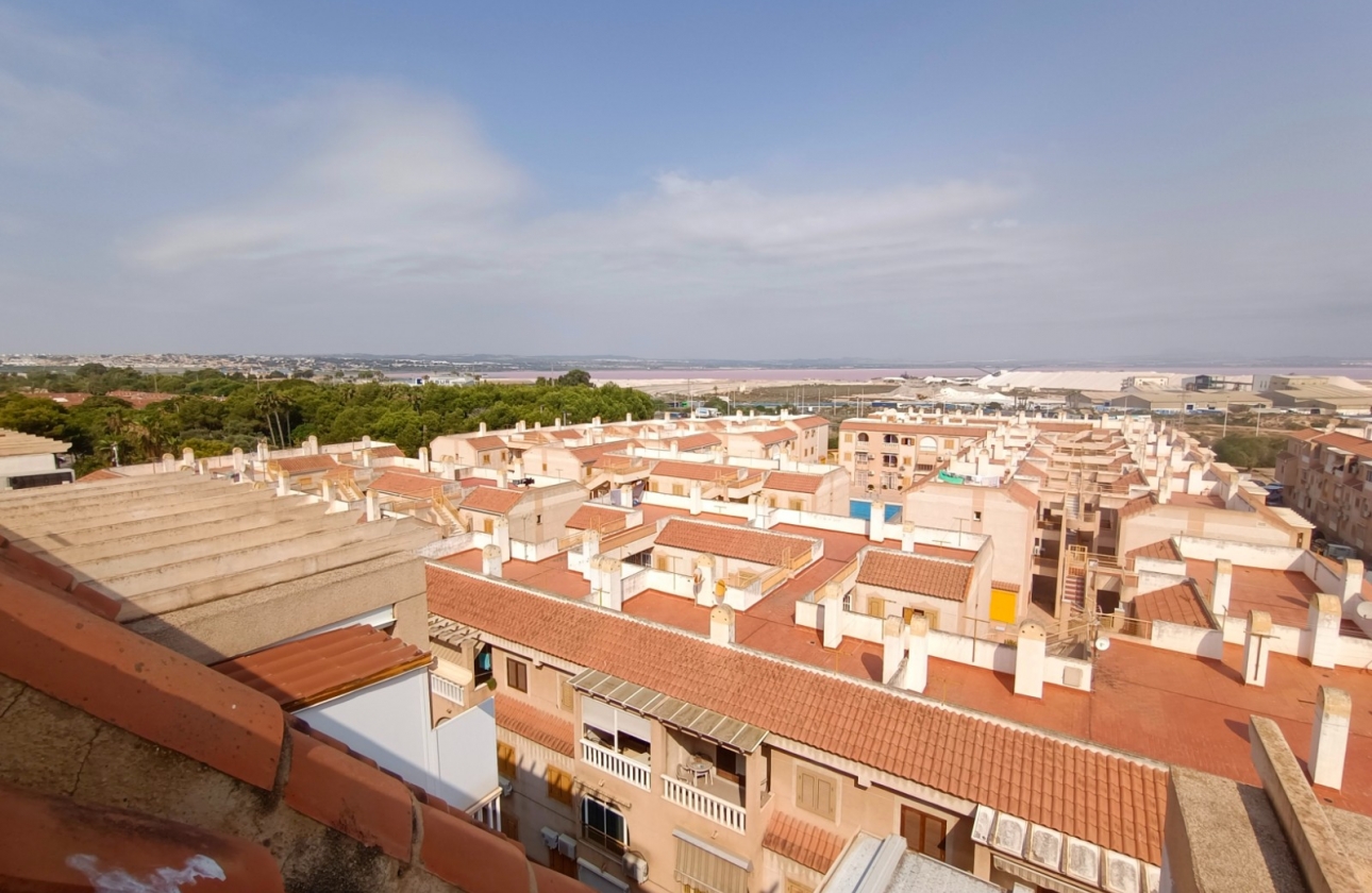 Rynek Wtórny - Apartament - Torrevieja - Playa del Acequión