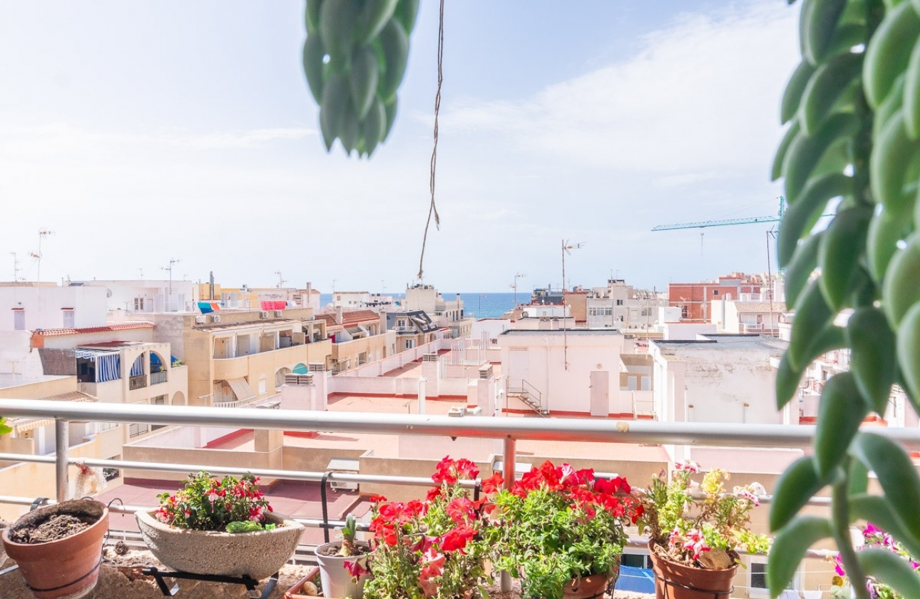 Rynek Wtórny - Apartament - Torrevieja - PLAYA LOS LOCOS