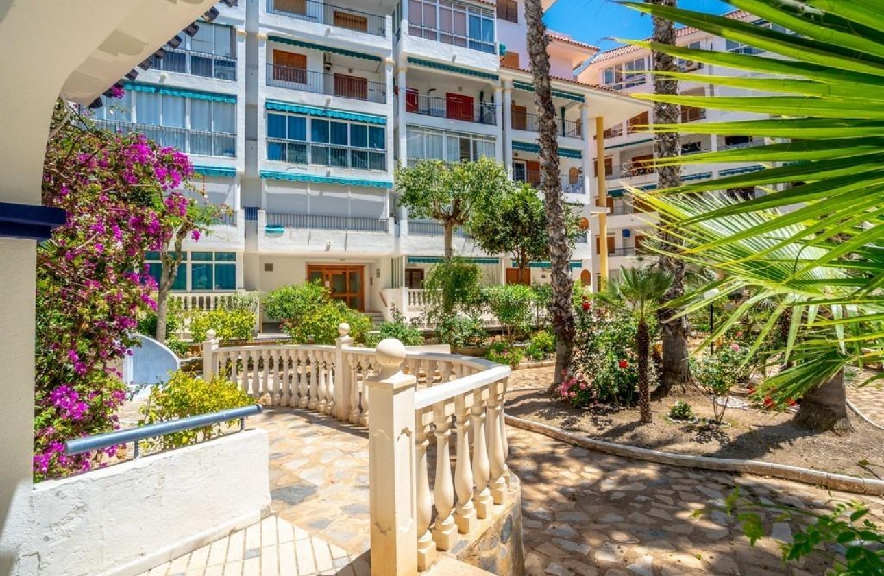 Rynek Wtórny - Apartament - Torrevieja - Torre la mata