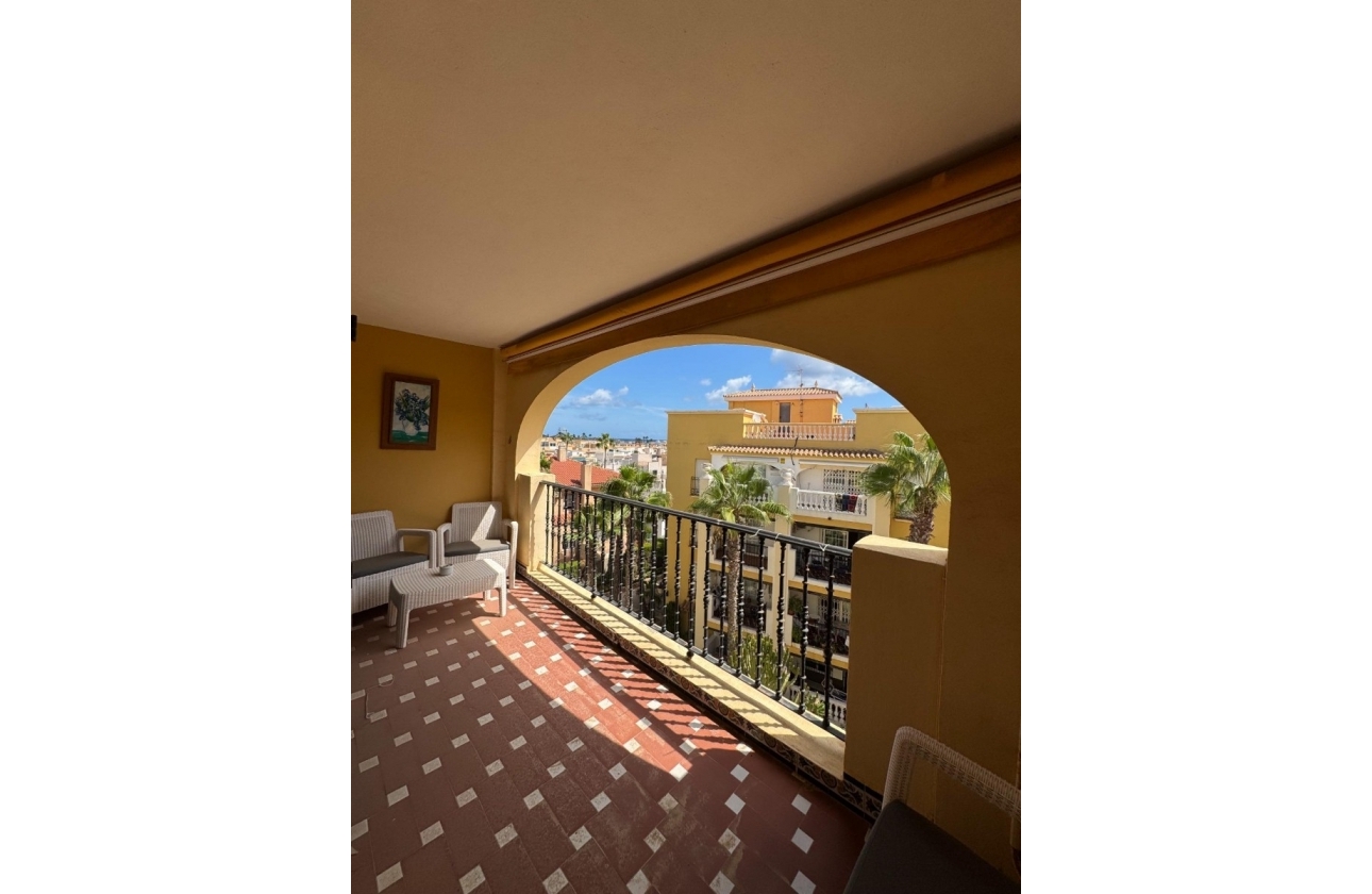 Rynek Wtórny - Apartament - Torrevieja - Torrevieja - Playa de los Locos